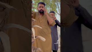 Pamma Bolda Punjabi movie scene subscribe it viral youtubeshorts mianshb4798 [upl. by Eniaj]