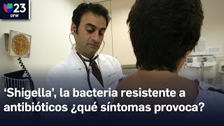 Los CDC advierten sobre ‘Shigella’ la bacteria resistente a antibióticos ¿qué síntomas provoca [upl. by Enelyk]