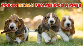 New 30 Female Dog Names 2025  Top 30 indian Female dog names [upl. by Wootan]