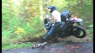 I CRASHED INTO A TREE   MOTORCYCLE CRASH CAUGHT ON GOPRO [upl. by Reiter]