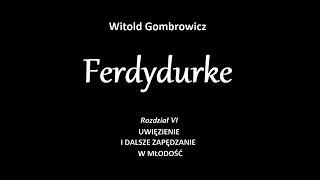 Ferdydurke  rozdział 6 [upl. by Dicky345]