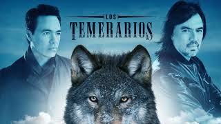 Los Temerarios Mix 2022 [upl. by Calypso]