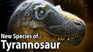 A New Tyrannosaur Species Changes Our Idea of Dinosaur Evolution  BoneHeads [upl. by Gagne]