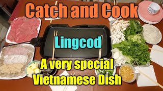 Catch and Cook LingcodNướng Vĩ Very special Vietnamese dish for family gathering [upl. by Grinnell]