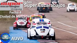 AUVO Super Escarabajos 2016 4a Fecha Ciudad de Mercedes [upl. by Aihsilat]