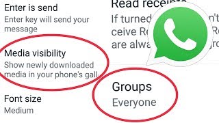 WhatsApp Feature Option Settings Not Showing Problem like Media visibility Group Privacy Settings [upl. by Marlena]