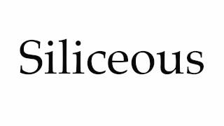 How to Pronounce Siliceous [upl. by Drusi629]