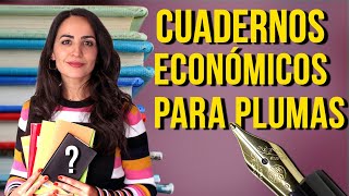 📚 CUADERNOS ECONÓMICOS para PLUMAS ESTILOGRÁFICAS [upl. by Mikkanen11]