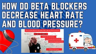 How do Beta Blockers Decrease Heart Rate and Blood Pressure [upl. by Helaina881]