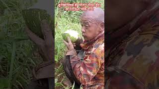 Rahar hoina baadhyata\\viralvideo trending shortvideo youtube love youtubeshorts shortvideo [upl. by Portingale]