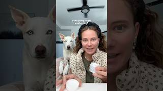 Am I getting another dog🐶 dogshorts dog pets puppy grwm makeup doglover getreadywithme [upl. by Esinel]