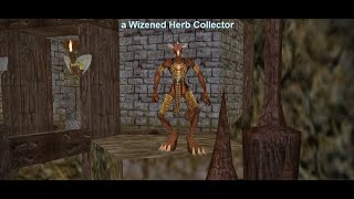 Druid Solos Wizened Herb Collector Chardok Project 1999 EverQuest [upl. by Aceber]