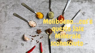 Molibdeno A Cosa Serve questo Sale Minerale Sconosciuto Benefici e Proprietà del Molibdeno [upl. by Breh]