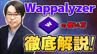 Wappalyzerの使い方徹底解説！ウェブサイトの使用技術や使用言語を調べよう [upl. by Domela721]