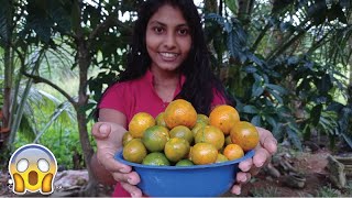 Lunu Dehi How to make Sri lankan lime picklehow to prepare lime pickle 10 min at home [upl. by Initsed]