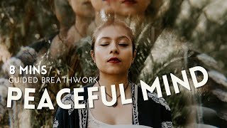 Peaceful Mind  Guided Breathwork with binaural beats 8 mins [upl. by Anneuq]