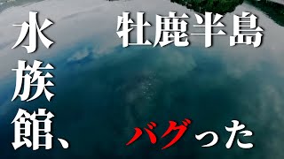 【宮城の釣り】牡鹿半島バグったんだが… [upl. by Dimo]