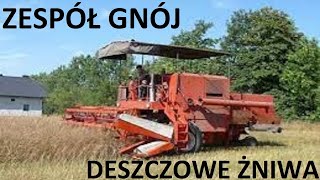 Zespół Gnój  DESZCZOWE ŻNIWA  █▬█ █ ▀█▀ DISCO W POLU 2023 [upl. by Wiebmer]