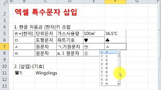 엑셀활용팁엑셀에서 특수문자 삽입 [upl. by Allsun]