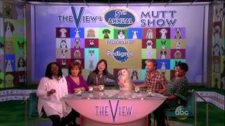 Dierks Bentley  DBTV Episode 111 The View [upl. by Salot]