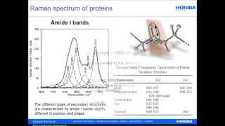 Raman Spectroscopy for Proteins by HORIBA Scientific [upl. by Scotney659]