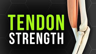 How to Really Strengthen Your Tendons  The 70 Rule [upl. by Tnek536]