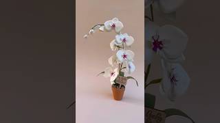 DIY paper orchid paperflorist paperflowers diypaperflower [upl. by Terces]