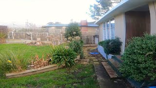 Neglected Garden Gets Yearly Renovation  Overgrown Yard Maintenance [upl. by Nador]