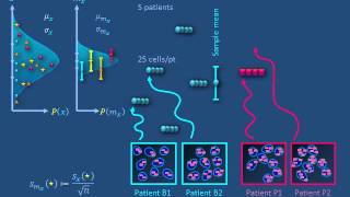 Uncertainty propagation c Illusory sample size [upl. by Rawdan356]