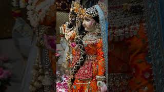 Radhe Radhe 🌸 radharani radheradhe vrindavan bhajan devotion [upl. by Barraza]