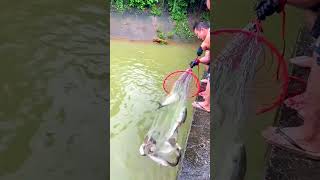 8 Shocking Moments in Fishing Videos You Need to See [upl. by Christianity]