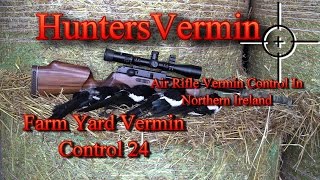 Air Rifle Hunting Farm Yard Vermin Control 24 [upl. by Conners]