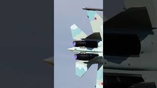 SU30SM In Action Over Syria  DCS  Digital Combat Simulator shorts dcs su30sm su30 flanker [upl. by Atilemrac554]