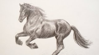 Cómo dibujar un caballo  Arte Divierte [upl. by Orabla133]