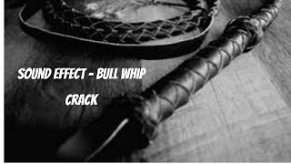 Sound Effect  Bull Whip Crack [upl. by Annoled]