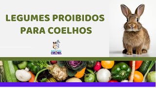 Legumes proíbidos para coelhos [upl. by Dhar]