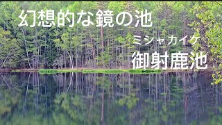 幻想的な鏡の池。御射鹿池に行ってきました。 [upl. by Ave]