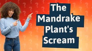 Why does the mandrake plant scream [upl. by Eelnyl470]