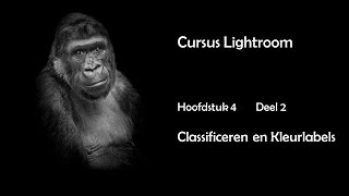 Hfdst 4 Deel 2 Classificeren en kleurlabels [upl. by Leanahtan]