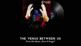 DISHARMONIC ORCHESTRA  The venus between us [upl. by Nurse640]