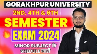 DDU Minor Subjects के लिए time Table जारी  DDU 2nd 4th amp 6th Semester Exam 2024  Rastra gaurav [upl. by Hyps]