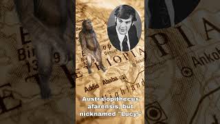 How Australopithecus afarensis got the name quotLucyquot from the Beatles [upl. by Namyw]