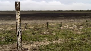 Gesetz zur Wiederherstellung der Natur erhält grünes Licht  Österreich lenkt ein [upl. by Sixla]