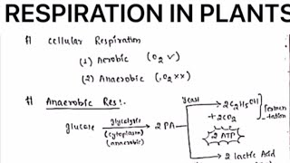 RESPIRATION IN PLANTS NOTESbotanybydrjaswinderkaur [upl. by Malarkey]