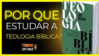 📚 Teologia Bíblica o Deus da Teologia Cristã  John Goldingay  Review Completo‼️ [upl. by Blackstock123]