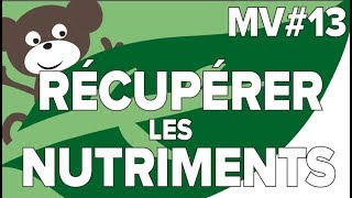 Récupérer les Nutriments MV 13SVT CollègeMathrix [upl. by Agustin]