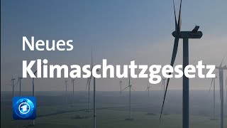 Neue Emissionsziele Kabinett beschließt Klimaschutzgesetz [upl. by Dammahom]