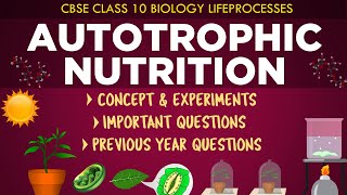 Autotrophic Nutrition in plants Lifeprocesses Class 10th Biology CBSE Syllabus Ncert class 10 [upl. by Hazaki551]