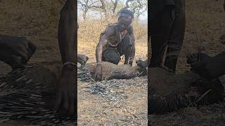 Hunting and Cooking porcupine with Hadzabe Tribe hadzabetribe viral [upl. by Uchish]