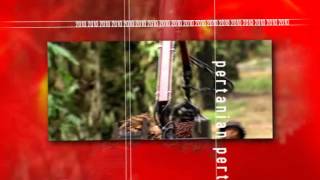 TV Promo Bajet 2010 [upl. by Coppock]